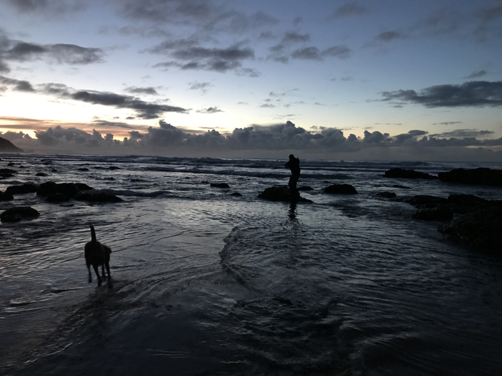 Solitary figure standing on a rock in the shallows of a dark, moody ocean at either dawn or dusk. A dog is walking towards the figure in the water. The sky is a dramatic mix of dark clouds and the fading light of the sun. The overall mood is serene yet slightly melancholic, with a strong emphasis on the contrast between the human figure, the dog, and the vastness of the natural world. The dark silhouettes against the twilight sky create a sense of mystery and solitude.
