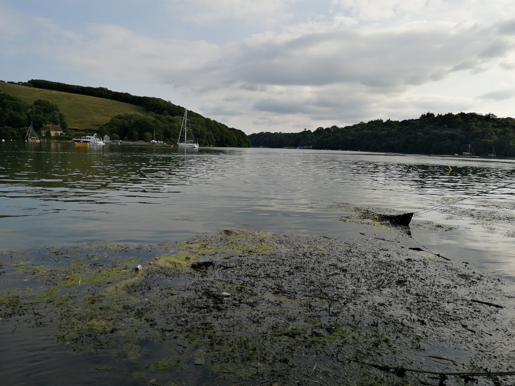 Tranquil river scene. In the foreground, the riverbank is covered with dark mud and patches of bright green algae. A partially submerged, dark-coloured object, possibly a small boat or piece of debris, lies in the shallows. Across the calm water, there are several boats moored near a verdant, tree-covered hillside. The sky is mostly cloudy, with soft light suggesting either early morning or late afternoon.