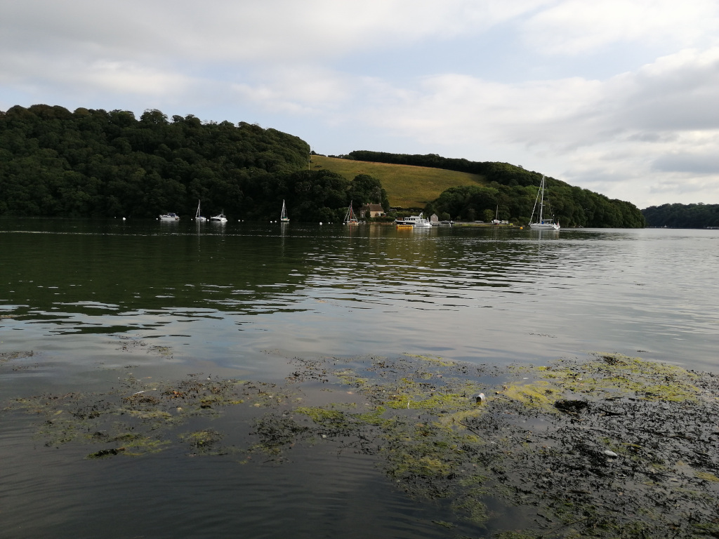 Calm body of water, possibly a river or estuary, with several small boats moored along the far shore. The far shore is lined with lush green trees and a gently sloping grassy hill. The foreground shows shallow water with patches of seaweed or algae. The overall mood is serene and peaceful, with a slightly overcast sky.