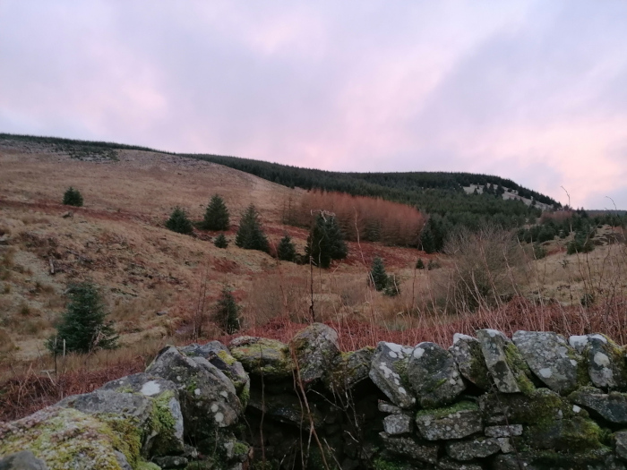 Tranquil landscape at dusk or dawn. In the foreground, a low stone wall, covered in moss, provides a rustic border. Beyond the wall, the scene unfolds with a gently sloping hillside, sparsely dotted with evergreen trees. Further back, a larger expanse of darker evergreens covers a higher hill, creating a layered effect. The soft, pastel colors of the sky suggest a serene and peaceful atmosphere. 