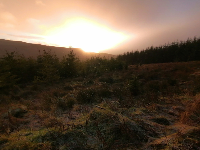 Serene landscape at sunset. The sun, a bright orb, is partially obscured by clouds, casting a warm golden light across the scene. In the foreground, there's a field of low-lying vegetation, perhaps frost-covered, leading to a line of dark evergreen trees silhouetted against the glowing sky. Behind the trees, a hill or mountain range rises gently in the distance. The overall atmosphere is peaceful and contemplative.