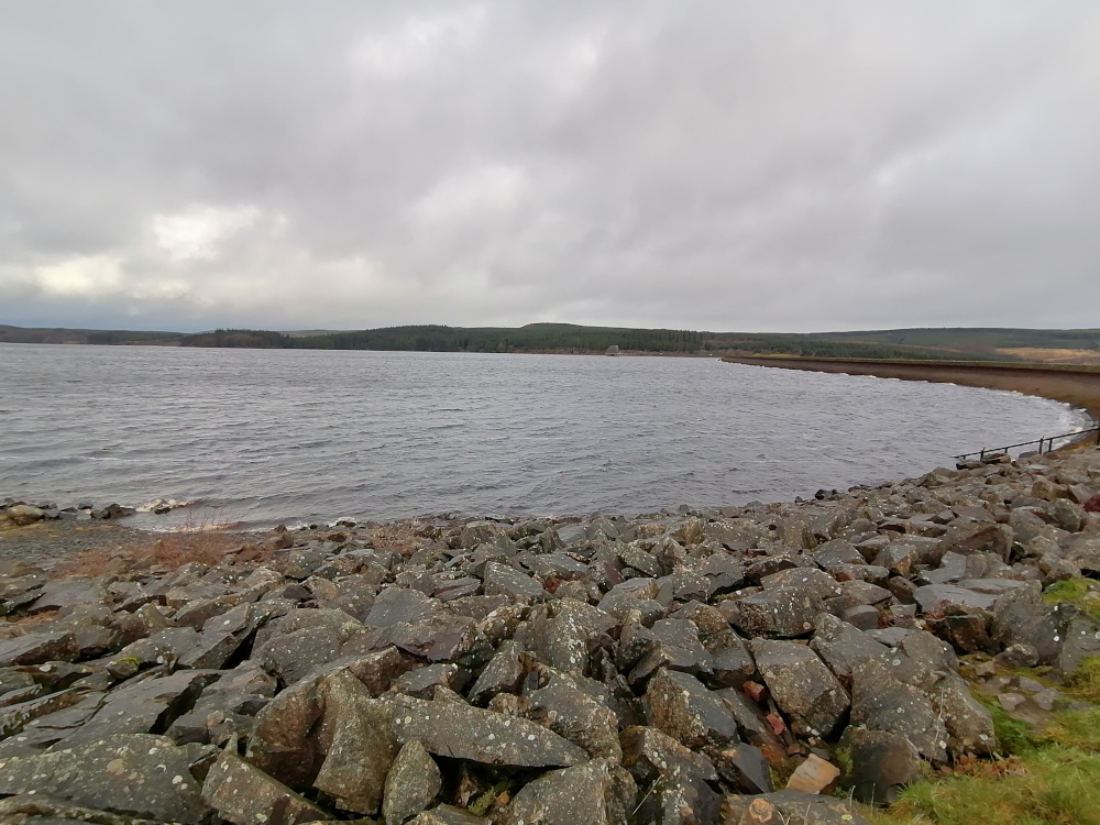 Tranquil lake scene under a cloudy sky. The foreground is dominated by a rocky shoreline composed of numerous dark grey and greenish-grey stones of varying sizes. In the mid-ground, the relatively calm water of the lake stretches to the far shore, which is lined with dark green trees and hills. A section of a man-made dam or retaining wall is visible along the right edge of the lake.