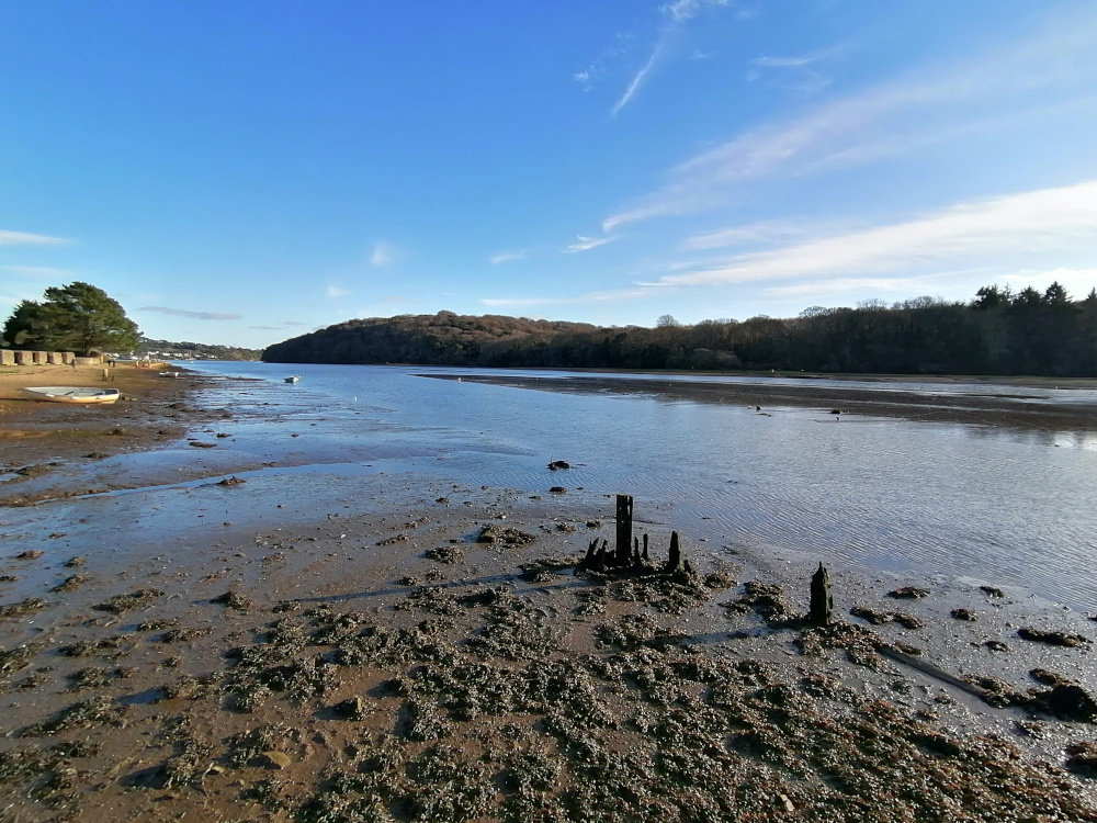 Foreground is dominated by exposed mudflats speckled with seaweed and the remnants of old wooden pilings. In the mid-ground, calm, shallow water stretches towards a gently sloping bank lined with trees. The background features a clear blue sky with wispy clouds. A small boat is visible near the shore on the left.