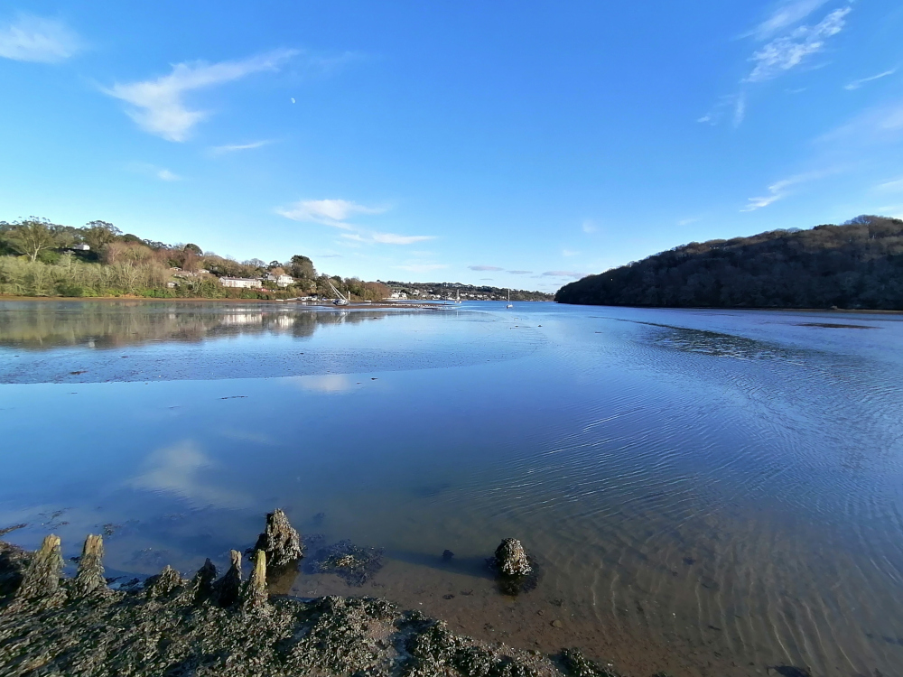 Calm water reflects the sky and the surrounding landscape. On one side, there's a gently sloping shoreline with some weathered wooden posts or remnants of pilings visible in the shallows. Across the river, a line of trees and buildings on a hillside are visible in the distance.