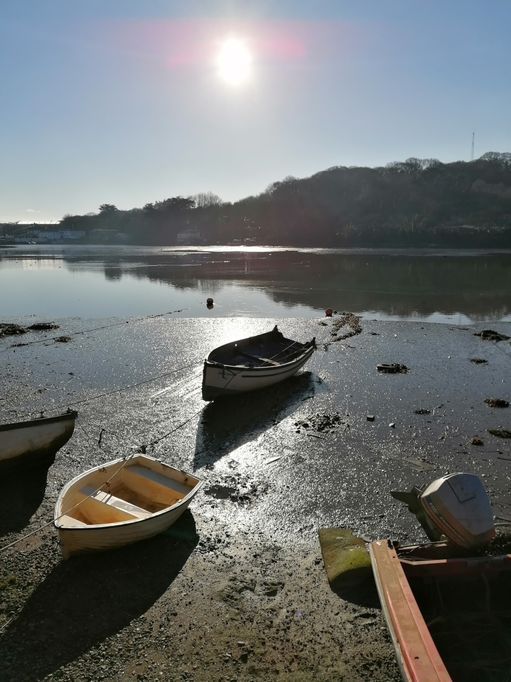 Three small boats, appearing to be dinghies or fishing boats, are beached on the exposed mudflats. The boats are white or light-colored, and one has an outboard motor attached. The background shows a gently sloping shoreline lined with trees and bushes under a clear, sunny sky. The sun is quite bright, causing reflections on the glistening mud and water.