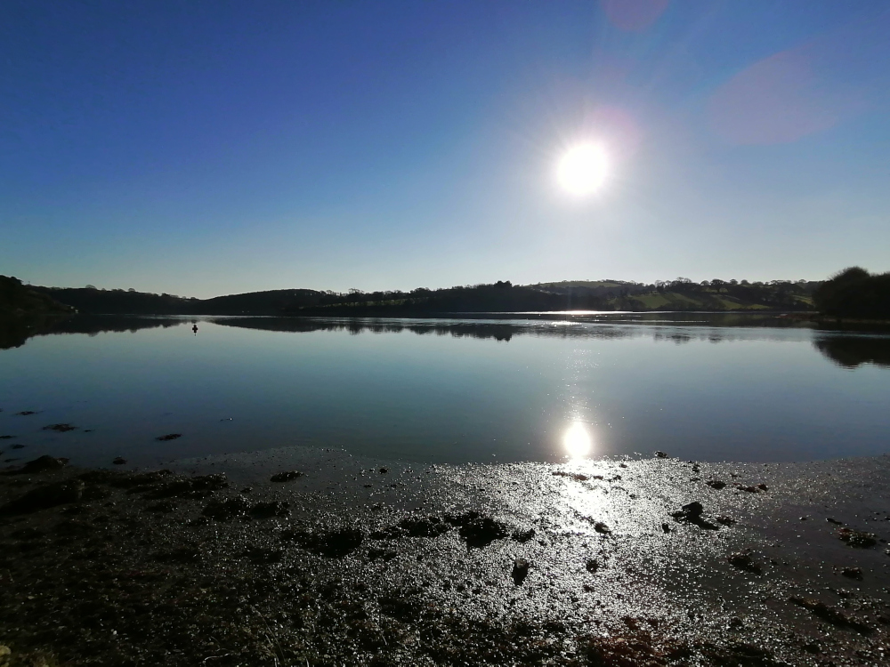 Tranquil scene of a calm body of water, possibly a river or estuary, under a clear blue sky. The sun, positioned near the center of the frame, is bright but not harshly so, casting a gentle reflection on the still water. The far bank is lined with dark, silhouetted trees and hills, creating a peaceful and serene atmosphere. The foreground shows a muddy shoreline glistening with sunlight.