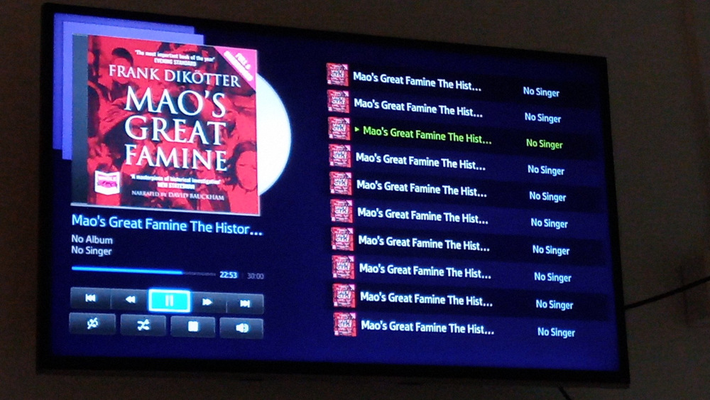 Screenshot of a digital audio player displaying an audio book of Frank Dikotter's Mao's Great Famine. The cover art of the audiobook is prominently featured, showing a dramatic red image likely depicting the suffering during the famine. The player interface indicates the audio book is currently paused, approximately 22 minutes and 53 seconds into a 30-minute track. The playlist shows multiple instances of the same audiobook, suggesting perhaps a chapter breakdown or repeat play. The overall impression is one of focusing on the historical account of a significant and tragic event.