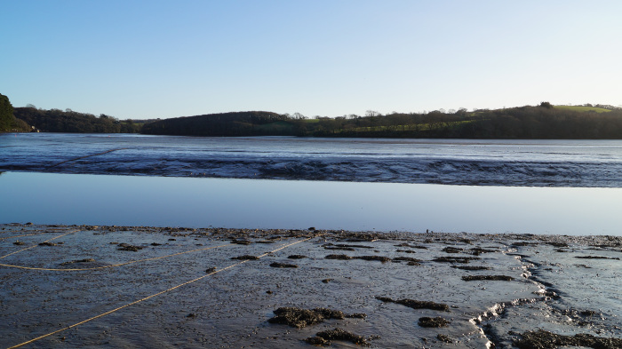 Fredelig kystscene ved lavvann. Forgrunnen domineres av eksponerte mudderbanker, krysset av tynne, lyse linjer, muligens tau eller markeringer. Midtergrunnen avslører en rolig, reflekterende vannmasse, tilsynelatende en elv eller elvemunning, med en mørk, nesten svart, gjørmete vidde synlig under overflaten. I bakgrunnen kanter forsiktig bølgende åser dekket av mørkegrønn vegetasjon horisonten under en klar, lys blå himmel.