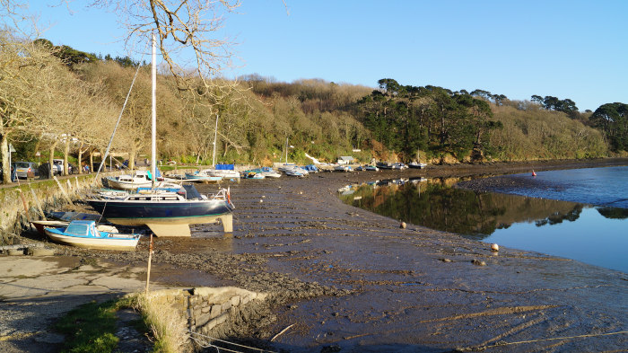 Fredelig strandpromenade ved lavvann. Tallrike seilbåter og motorbåter ligger på grunn på de synlige mudderbankene i en rolig elv eller elvemunning. Strandlinjen er omkranset av trær, noe som skaper en naturlig bakteppe for fartøyene som ligger til kai. Himmelen er klar og lys, noe som antyder en solskinnsdag.