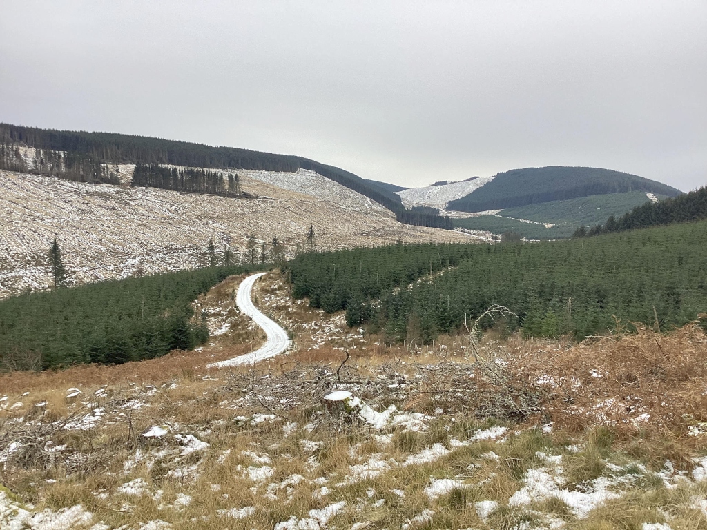 Winding dirt road snaking through a valley in a mountainous region. The valley is largely forested with dark green evergreen trees, interspersed with patches of lighter brown, possibly cleared areas or areas with different vegetation. A section of the hillside shows a lighter tan colour, suggesting a different type of terrain or possibly logging activity. There's a light dusting of snow on the ground and some of the higher elevations. The overall atmosphere is serene and somewhat desolate, characteristic of a remote, wintry landscape.