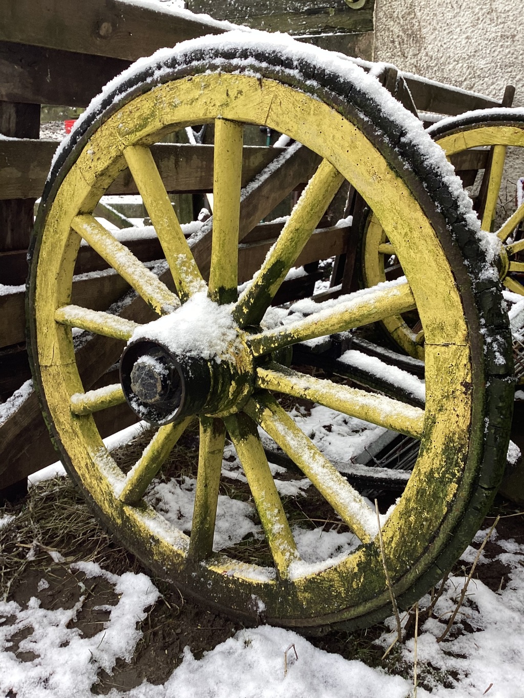 Close-up view of a weathered wooden wagon wheel, partially covered in snow. The wheel is painted yellow, though the paint is chipped and aged, revealing the dark wood underneath. The wheel is resting on the ground, partially obscured by snow and some dry grass or hay. The background includes a partially visible wooden structure, suggesting a cart or wagon, also covered in a light dusting of snow. The overall impression is one of age, rustic charm, and a winter setting.