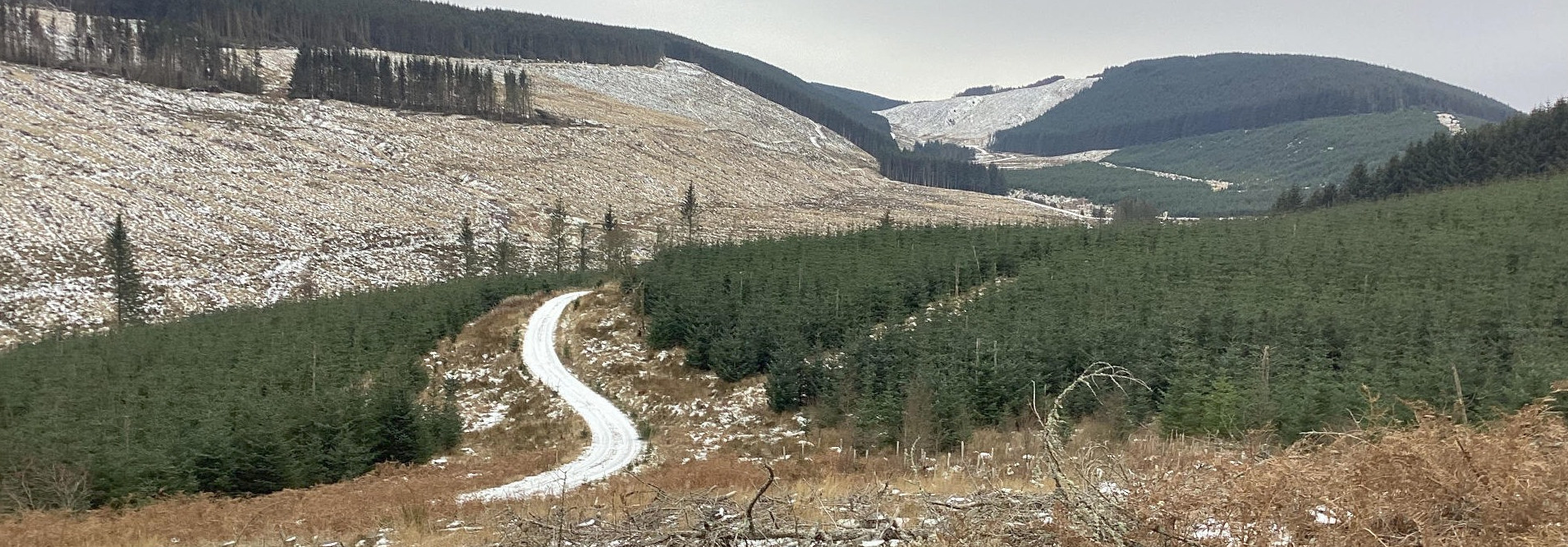 Winding, snow-dusted dirt road snaking through a landscape of coniferous forests. The road is light-grey-white where the snow lies, curving gently from the lower-middle to the mid-ground. There are no people or vehicles visible. The surrounding landscape is characterized by a mix of dense, dark-green evergreen forests and lighter brown, sparsely vegetated areas. A large, light brown, almost barren hillside stretches across the upper-middle ground, suggesting recent logging or natural erosion.