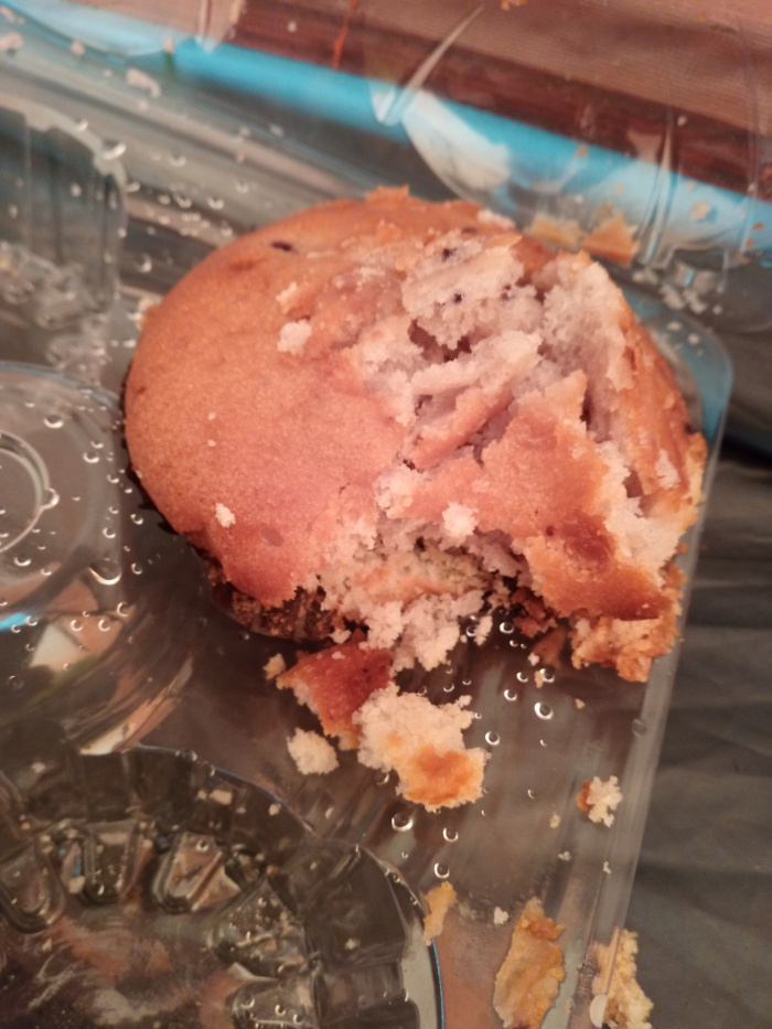 Partially eaten blueberry muffin, resting in a clear plastic container. The muffin is light brown with visible flecks of blueberries throughout. A significant portion of the muffin is missing, showing a broken, crumbly texture where the bite has been taken. Crumbs are scattered around the muffin and on the container. The muffin itself appears soft and possibly slightly moist. The plastic container is slightly translucent, with visible water droplets or condensation clinging to its inner surface. The container is designed to hold multiple muffins, suggesting it is a part of a larger package.