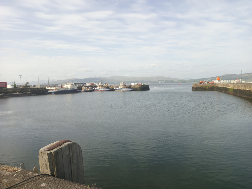 Calm harbour scene, viewed from a low perspective near a weathered, grey-brown wooden bollard. This bollard is firmly set into a concrete pier, its rough-hewn texture prominent in the foreground. Beyond, a small harbour bustles with activity. Several vessels are docked: a larger, predominantly navy-blue passenger ferry or workboat dominates the mid-ground, flanked by smaller fishing boats or workboats, exhibiting a variety of muted tones—greys, whites, and faded blues. The boats appear relatively still, suggesting a peaceful moment in the harbour’s activity. In the far background, to the right, is a section of what seems to be an industrial area or dockyard, with a large orange structure possibly associated with life-saving equipment, hinting at practical harbour functions.