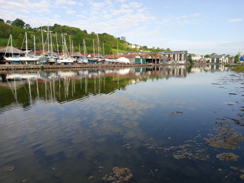 Calm river reflecting a row of sailboats docked at a waterfront. Dozens of sailboats of varying sizes, mostly white with some blue and red accents, are neatly lined up at wooden docks. The docks are situated in front of several low-lying, grey-toned buildings, likely boat sheds or storage facilities. Beyond the immediate waterfront, a row of buildings of various sizes and architectural styles runs along the riverbank, suggesting a small town or village setting. There's a hint of a taller building near the right side of the mid-ground, possibly a multi-story structure. The land beyond the buildings is gently sloping, covered with lush green trees and foliage. There is no human presence in the image. The water itself shows a visible layer of brown organic matter (possibly silt or algae) near the bottom, contrasting with the cleaner-looking reflection near the surface.