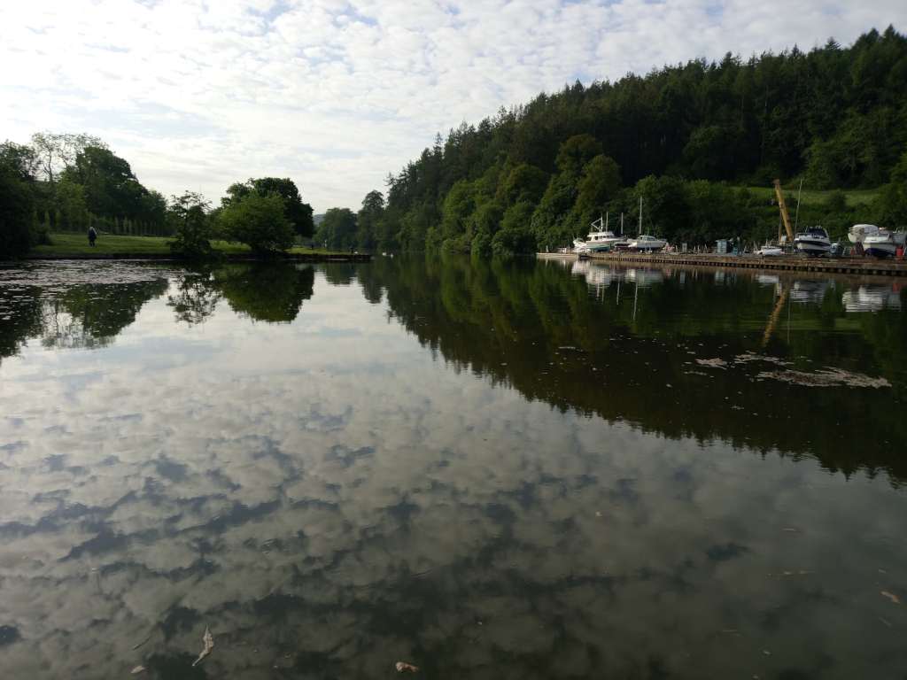 Calm, dark-green river reflecting a mostly cloudy sky. Several boats of varying sizes, mostly white or light-coloured, are moored at a dock on the right side of the frame. A small yellow crane is visible near the docked boats. On the left bank of the river, there’s a stretch of grassy land, some lush green trees, and a few indistinct figures that appear to be people, too small to distinguish detail. The scene unfolds in a serene, natural environment. A dense forest of dark green conifers and deciduous trees forms a backdrop that fills the upper right two-thirds of the image. The lighting suggests it’s likely morning or late afternoon; the light is soft and diffuse, with the clouds predominantly reflecting in the water.