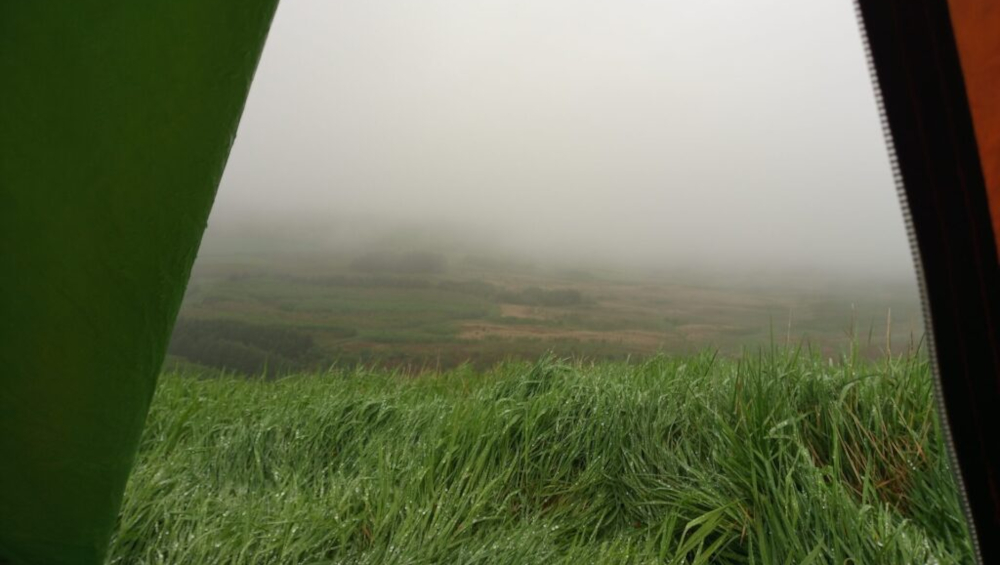 View from inside a tent, specifically looking out through a slightly ajar zip opening. The tent's interior is only partially visible. A section of bright, Kelly green tent fabric forms a sharp, angled line dominating the left third of the frame. A sliver of a muted orange/brown fabric is visible on the right edge, suggesting another part of the tent structure.  The main subject beyond the tent is a vast expanse of tall, dew-laden grass stretching across the lower two-thirds of the image. The grass blades are a vibrant green, showing droplets of water clinging to them, creating a glistening effect.