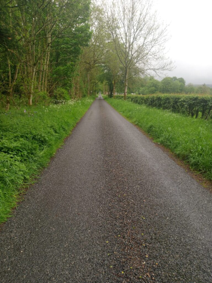 Narrow, asphalt country lane, stretching from the foreground to the vanishing point in the far distance. The road is composed of dark grey, coarse asphalt, appearing slightly damp or wet, reflecting a subtle sheen under the diffused light. The lane is flanked by verdant verges, lush with vibrant green grass, punctuated by patches of flowering white weeds (possibly wild garlic or similar) closer to the tree line. A hedge runs parallel to the road along the right side, forming a natural boundary. No people or vehicles are present; the road appears tranquil and empty.