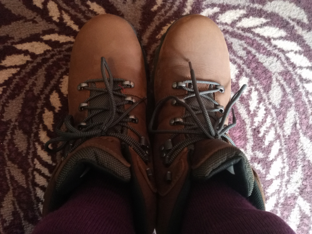Pair of brown leather hiking boots, positioned directly facing the viewer. They are laced with dark grey laces, and the laces are slightly loose. The boots show some light creases and softening of the leather, indicating slight use. The boots are partially obscuring the wearer's legs, clad in dark maroon or burgundy socks that extend from the tops of the boots. Only the lower legs and feet are visible. The boots rest on a richly patterned carpet or rug. The carpet exhibits swirling, abstract patterns in deep burgundy, taupe, and off-white, creating a warm, somewhat opulent backdrop.