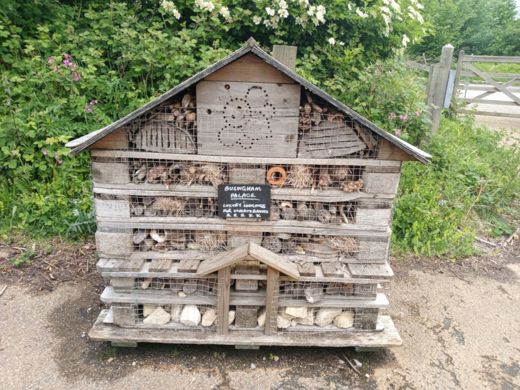 Multi-level insect hotel, resembling a small house, constructed from natural materials like wood, stones, and twigs. It's situated outdoors next to some greenery and a gravel path, with a small sign identifying it as Buckingham Palace, playfully referencing its function as a luxury lodging for insects. The design is whimsical and functional, catering to various insect species.
