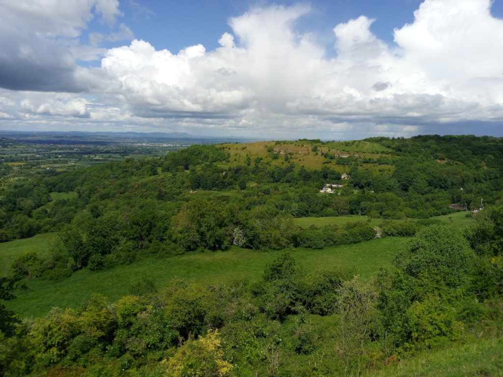 Panoramic view of a lush green hilly landscape under a partly cloudy sky. The foreground is filled with dense, leafy trees and shrubs. The mid-ground reveals rolling hills dotted with more trees and a few small buildings or houses, suggesting a rural or semi-rural setting. In the far background, a flat expanse of land stretches to the horizon, hinting at a wider countryside.