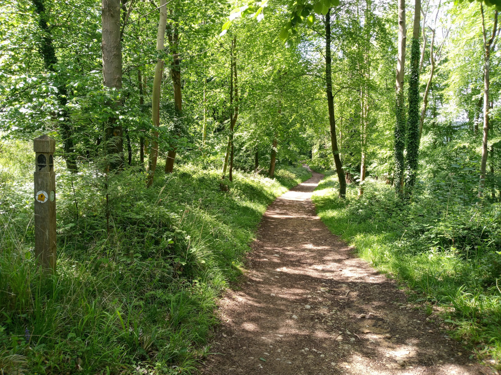 Dirt path winding through a lush, green forest. Sunlight dapples the path, and the trees create a canopy overhead. A wooden marker post, indicating a trail or footpath, is visible on the left side of the path. 