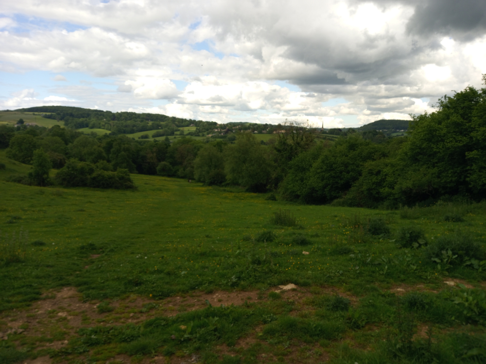 Sprawling, gently sloping field of vibrant green grass, speckled with tiny yellow wildflowers. The foreground is dominated by this grassy expanse, punctuated by patches of bare, dark brown earth, suggesting a lightly-used path or track. In the midground, a line of lush, verdant trees and shrubs creates a natural boundary, their various shades of green indicating different species and densities. Beyond the trees, rolling hills covered in similar green foliage stretch into the distance, their shapes soft and undulating under a cloudy sky. A village or small town is faintly visible in the mid-distance on the horizon, indicated by clusters of buildings and a tall, slender structure (possibly a church steeple) that stands out against the hillside.