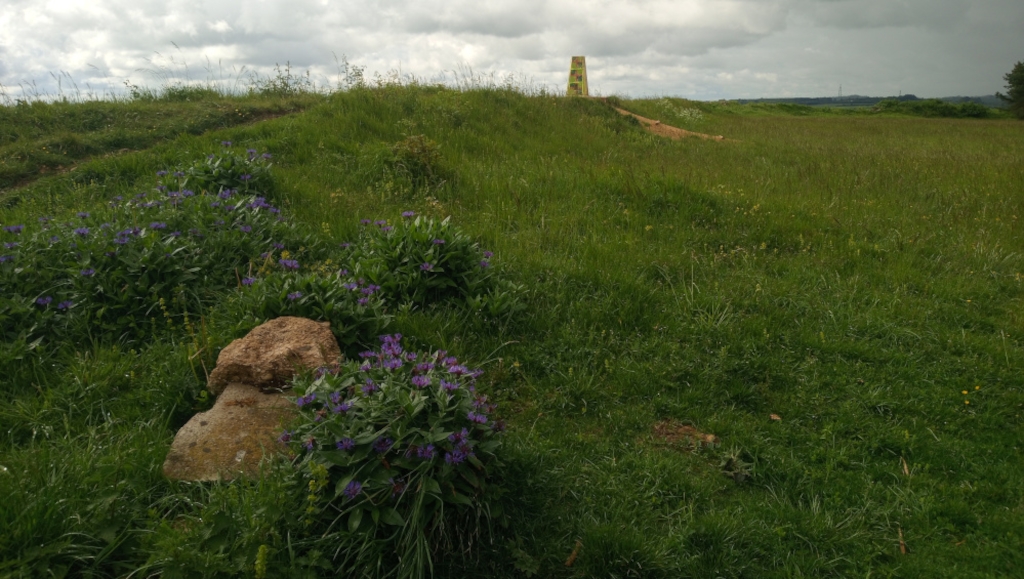 Grassy hill under a cloudy sky. Atop the hill is a tall, light-colored marker or signpost. In the foreground, there are patches of purple wildflowers and some rocks nestled in the grass. The overall impression is one of a quiet, somewhat desolate, yet naturally beautiful landscape.