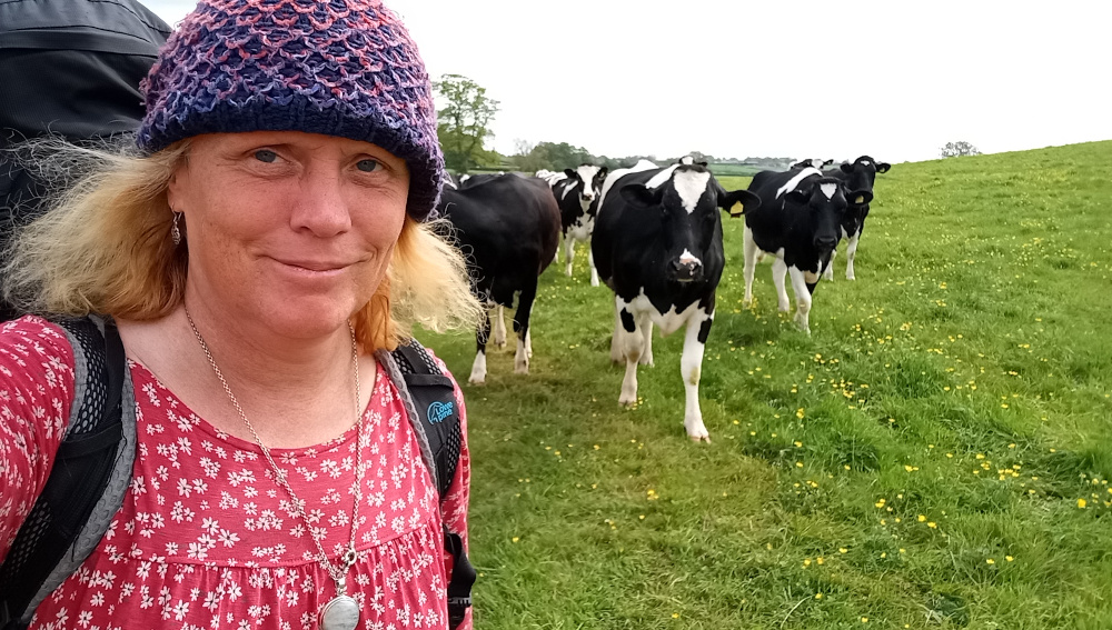 Selfie taken by a woman with shoulder-length, slightly windblown blonde hair. She's wearing a vibrant crimson, floral-print dress with a modest neckline and a close-fitting, chunky knitted hat in shades of deep purple, lavender, and dark teal. The hat sits snugly on her head. Around her neck, she wears a simple silver chain necklace with a circular pendant that appears to be a pocket watch or similar. She carries a large grey and black backpack, partially visible behind her. Her expression is gentle and slightly amused, conveying a peaceful demeanour. Her skin is fair with some visible freckles and slight redness, possibly from sun exposure. She is positioned slightly off-centre, facing directly at the camera. In the background, a small herd of five black and white Holstein Friesian cows is calmly grazing in a field. They are positioned slightly out of focus, creating depth of field. They are walking or standing, and appear relaxed and unconcerned with the woman's presence.