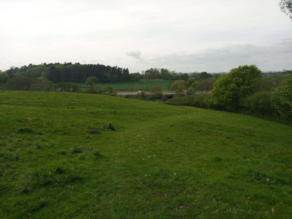 Gently sloping, verdant pasture that occupies the majority of the foreground and middle ground. The grass is a rich, deep green, subtly variegated with slightly darker and lighter patches, suggesting variations in density and perhaps even the presence of scattered wildflowers, barely discernible as tiny yellow dots. A faint, barely visible path or track meanders through the grass, slightly offset from the centre, leading the eye towards the background. In the mid-ground, a low stone or concrete bridge is partially visible across a narrow valley, separating the foreground pasture from a stretch of flat, cultivated land appearing in a lighter, yellowish-green hue. A thin line of cars and trucks can be seen in the distance on what appears to be a highway beyond the bridge.