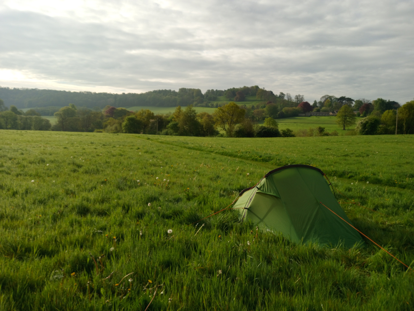 Vibrant green, single-person tent pitched in a lush, verdant field. The tent is slightly nestled into the grass, its orange guy lines subtly visible, extending towards the edges of the frame. It's positioned slightly off-centre, leading the viewer's eye towards the gently rolling hills in the background. No people are present. The scene unfolds in a tranquil, pastoral setting. The foreground is dominated by a field of long, unkempt grass, speckled with delicate white dandelion-like flowers. The grass transitions from a brighter green in the foreground to a slightly more muted tone further out. The midground reveals a gently rolling landscape of verdant hills, dotted with clusters of deciduous trees. The trees vary in shades of green, some appearing darker and fuller, others lighter and sparser. A few buildings are barely visible in the far distance in the middle of the background, suggesting a small settlement nestled within the countryside. The sky is a soft, overcast pale gray-blue, indicative of either early morning or late afternoon light. The light is diffused, casting no harsh shadows and giving the scene a calm, peaceful mood. The overall color palette is predominantly green, punctuated by the muted blues of the sky and small touches of white and yellow from the wildflowers.