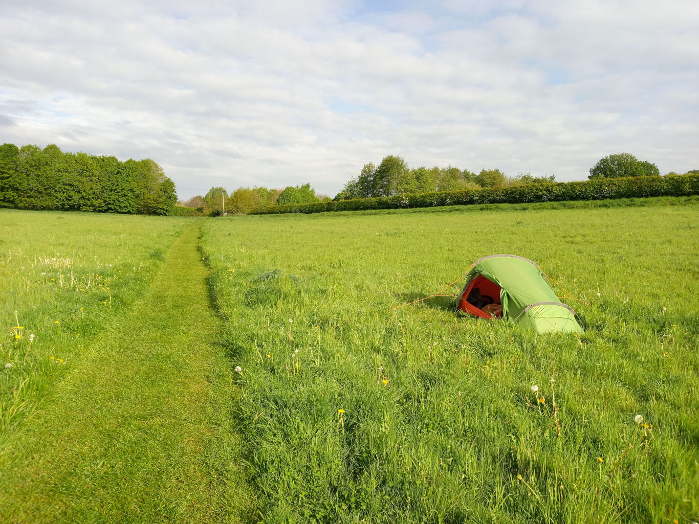 Single-person tent pitched low in a vibrant green field. The tent is partially unzipped, hinting at someone possibly inside, although no person is visible. The tent fabric appears lightweight and slightly shiny. Orange interior lining is just barely visible through the opening. Thin, orange guy lines extend from the tent, subtly anchoring it to the ground. A mowed path, a bright, almost emerald green, cuts diagonally across the foreground, leading towards a line of trees in the middle distance. The setting is a pastoral English countryside scene.  The foreground is dominated by the lush, slightly tall grass of the field, speckled with small white dandelion-like flowers. The background features a hedge running horizontally across the middle distance, separating the field from a line of deciduous trees, ranging in shades of green. The sky is a soft, light blue with a scattering of fluffy white clouds, indicating a partly sunny day. The overall color palette is tranquil and natural, consisting primarily of various shades of green, punctuated by the small white flowers and the lime-green of the tent, along with the pale blue of the sky. 