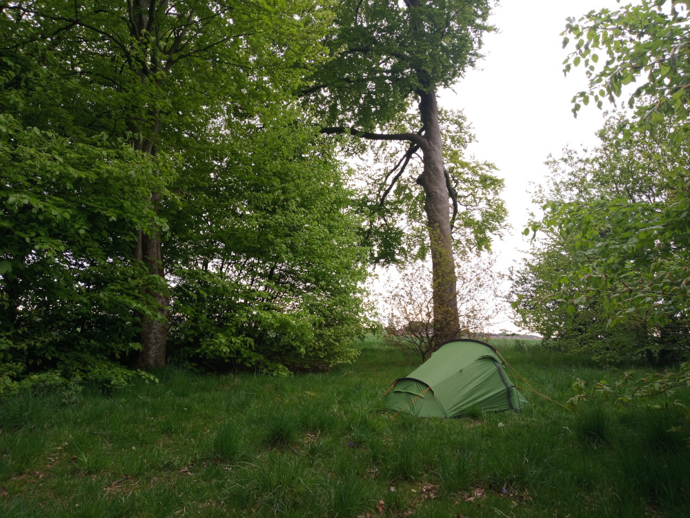 The setting is a brightly lit highway, bisected by a double white line, under a mostly clear blue sky. Fluffy white clouds are scattered across the upper portion of the frame. In the far background, a soft green landscape of rolling hills dotted with sparse trees is visible. The lighting suggests daytime, with the sun casting even illumination on the scene. The colour palette is naturalistic, with the cool blues of the sky contrasting against the warm reds and greens of the clothing and landscape. The highway itself is dark grey asphalt. The scene is set in a deciduous forest, where the dominant colors are various shades of green. The trees are leafy and dense, indicating it might be springtime or early summer. The largest tree, a towering deciduous tree with a thick, gnarled trunk and spreading branches, stands prominently behind the tent, creating a natural backdrop. Smaller trees and undergrowth fill the scene's periphery, creating a sense of depth and enclosure. The lighting is soft and diffused, suggesting an overcast sky or gentle shade.