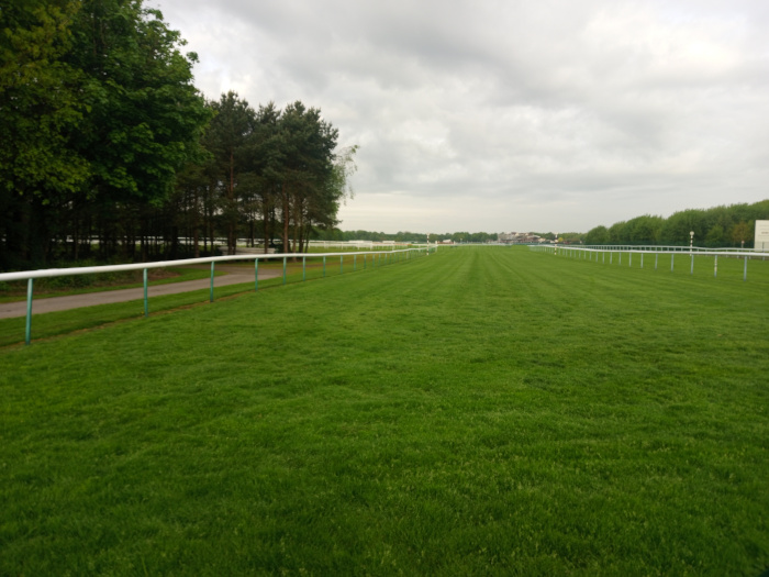 Verdant, meticulously maintained grass race track, stretching from the foreground to the middle ground. The grass is a vibrant, even green, showing subtle striations from grooming, suggesting a recently manicured surface. A low, white railing with teal-coloured posts runs parallel to the viewer's perspective along the left side of the track, creating a clear boundary. A similar railing runs along the right side, but is partially obscured in the distance.  No people or animals are visible. The setting appears to be a horse racing track on an overcast day. The sky is a muted, light gray, with a thick blanket of clouds dominating the upper half of the frame, creating a soft, diffused light.  The overall color palette is subdued, with the vibrant green of the grass contrasting with the gray sky and muted greens and browns of the trees. The background shows a line of trees bordering the track, leading to distant buildings hinting at racecourse facilities—all muted in tone and detail due to the distance and atmospheric conditions.