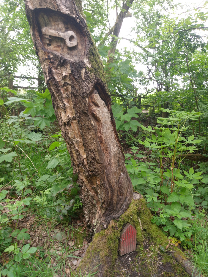 Large, weathered tree trunk, leaning slightly to the right. Carved into its bark is a stylised key, relatively large and clearly visible, positioned about a third of the way up the trunk. Lower down, partially concealed by moss, is a miniature, reddish-brown wooden door, suggesting a fairy house or similar whimsical element. The tree trunk shows signs of age and decay, with varied textures of bark and exposed wood grain. The wood is predominantly shades of brown and grey. The miniature door is simple, rectangular, and has vertical panel lines. No people are present.
