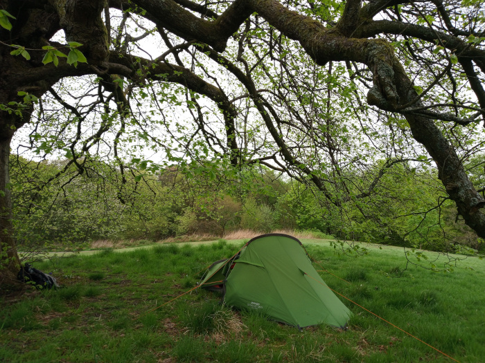 Green, single-person tent pitched in a grassy clearing. It's a dome-style tent, slightly angled, with its entrance facing slightly to the right of the frame.  A slender, orange-toned guyline stretches from the tent's corner to the right, suggesting a slightly taut pitch. A partially visible dark-coloured backpack lies to the left, near the base of a large tree, implying camping activities are underway. No people are present. The scene is bathed in soft, natural daylight, suggesting either early morning or late afternoon. The lighting is diffuse, with no harsh shadows, indicating an overcast sky or dappled sunlight filtering through the foliage. The dominant colours are the rich green of the grass, the bright, almost lime green of the tent, and the varied browns and greens of the extensive tree canopy overhead. The trees in the background show lush, spring/early summer foliage, ranging in shades from light to deep green. The environment is a serene woodland setting. A large, gnarled tree with thick, mossy branches dominates the upper half of the frame, creating a natural canopy over the tent. The tree's branches reach far out, almost engulfing the scene, creating a protective yet open feel.  The background consists of a low-lying area of trees and undergrowth, creating a depth of field that leads the eye from the foreground to the middle ground. The grassy area where the tent is pitched is relatively flat and unblemished, except for the tent and backpack.