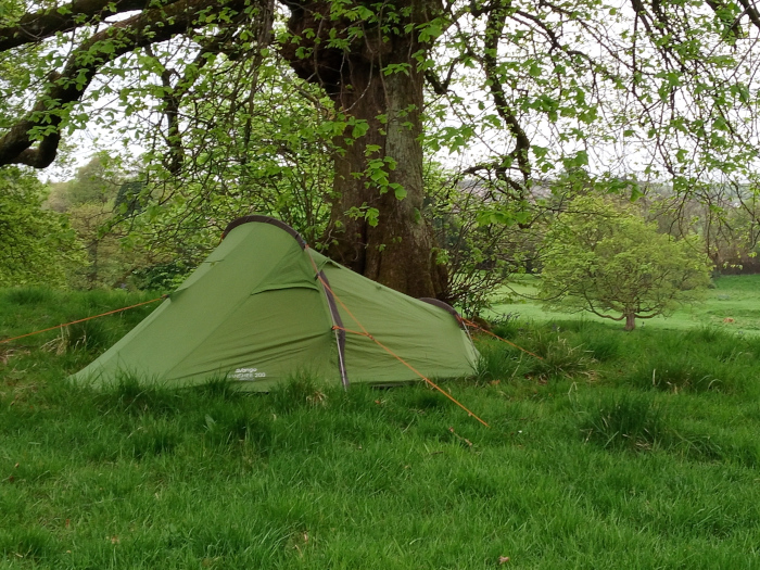 Olive-green, one-person backpacking tent, pitched on a grassy field. It's a lightweight, dome-style tent with a slightly streamlined shape, showing subtle curves and folds in its fabric. The tent's fabric appears taut, suggesting a recent pitching. Bright orange guy lines are subtly stretched from the tent's corners to stakes unseen in the grass, suggesting stability.  The tent is not fully zipped up, showing a glimpse of the interior's darkness. A small, partially visible label is seen on the tent's side. The tent is nestled under the sprawling branches of a large, mature deciduous tree, which dominates the upper two-thirds of the frame. The tree's leaves are a vibrant, fresh green, suggesting springtime or early summer. The tree's trunk is thick and textured, its bark a mottled grey-brown. The background features a gentle, rolling meadow, showing various shades of green, ranging from the deeper, richer tones under the shadows of trees to the lighter, sun-drenched areas. Other trees and bushes are visible in the background, creating a soft, natural boundary. The sky is largely overcast, providing a soft, diffused light that avoids harsh shadows. The overall color palette is a peaceful blend of greens and muted browns, with the olive green of the tent complementing the natural surroundings.
