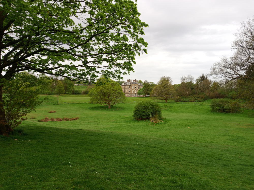 Large, stately, stone mansion, light brownish-grey in colour, situated in the mid-ground. It's a multi-story building with multiple visible windows and a complex roofline, suggesting a classical or possibly Georgian architectural style. The mansion is nestled amongst lush greenery, appearing relatively secluded.  In the foreground, a sweeping expanse of vibrant green grass dominates the scene. A large, mature deciduous tree with spreading branches and bright, fresh green leaves occupies a significant portion of the left foreground, partially obscuring the view of the mansion. Smaller, similarly leafy trees and shrubs are scattered throughout the scene, contributing to the verdant landscape. The environment is a tranquil, park-like setting, possibly a large estate or country garden. The background consists of a rolling landscape of verdant hills and a variety of trees, suggesting a natural, unspoiled environment. The sky is overcast, a light grey-white, diffusing the light evenly across the scene without harsh shadows. The dominant colours are various shades of green in the grass and foliage, punctuated by the muted grey-brown tones of the mansion.