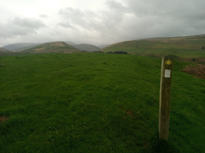 Weathered, vertical wooden post, roughly hewn and showing signs of age and exposure to the elements. It stands firmly in a short, vibrant green pasture, slightly off-center to the right. Affixed to the post is a small, rectangular sign with a faded yellow graphic, possibly a symbol indicating a trail marker or directional guidance. There are no people or animals visible. The scene is a pastoral landscape under a heavily overcast sky. The sky dominates the upper portion of the frame, a monotone canvas of muted gray and white clouds, suggesting an impending rain or a recently passed shower. The lighting is diffuse and soft, lacking strong shadows. The foreground is a lush, carpet-like expanse of vibrant, deep green grass, subtly textured with variations in tone and slight undulations. The mid-ground and background comprise rolling hills, varying in shades of muted green and brown, suggesting pastureland. The hills recede gently into the misty distance, creating a sense of depth and vastness.