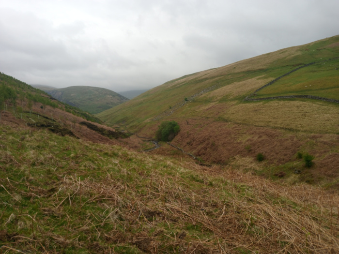 Landscape devoid of people or animals. The primary focus is a gently sloping hillside in the foreground, covered in a mixture of short, dry, light brown grasses and scattered patches of dark green vegetation. The texture is rough, with many thin, dry stems lying on the surface.  The scene is a rural valley, likely in a mountainous region. The foreground hillside descends towards a valley bottom, where a small stream or gully is visible. The valley is bounded by rolling hills and mountains, which fade into a misty, overcast sky. The background hills are a muted green-brown, showing varying degrees of vegetation and patches of bare earth. Stone walls, likely used for agricultural purposes, are visible on the upper slopes. The lighting is soft and diffused, indicative of an overcast day; there are no harsh shadows. The overall colour palette is subdued, consisting primarily of various shades of brown, green, and gray, contributing to a calm and somewhat melancholic mood.