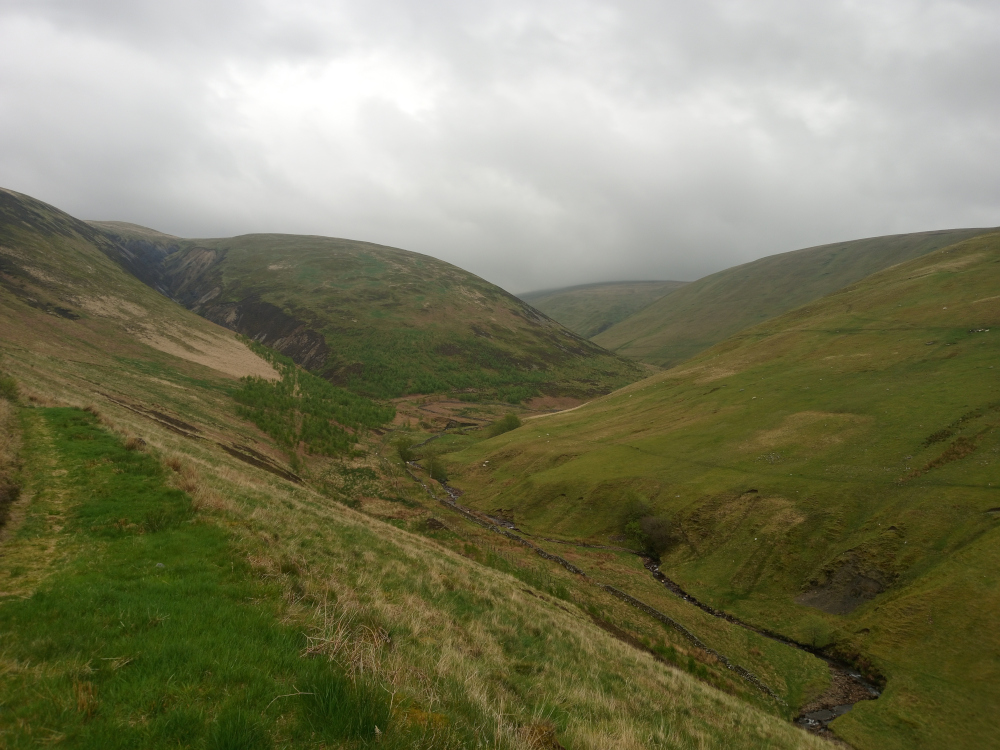 Sweeping vista of a verdant valley nestled between rolling hills. A small, meandering stream snakes its way down the valley floor, its path marked by darker, more saturated greens and occasional low stone walls or embankments. Patches of lighter, more golden-brown grasses punctuate the landscape, suggesting variations in elevation and sunlight exposure. In the mid-ground, a small stand of dark-green, possibly coniferous, trees clusters in a small area. The foreground is composed of a sloping hillside, covered in a vibrant, slightly taller and lusher grass, suggesting a pathway or natural incline. No people or animals are visible.