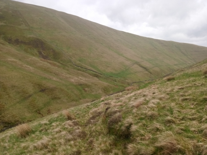 Gently sloping hillside in the foreground, covered in a sea of long, wind-blown grasses, predominantly a muted beige-brown with touches of green. The grasses are not uniformly tall; patches of shorter, greener vegetation are interspersed, suggesting varied terrain and possibly different species. A barely discernible, faint path or track meanders down the slope towards the bottom of the frame. In the mid-ground and background, the valley unfolds, revealing a series of gently contoured slopes and ridges rising to a prominent, imposing hillside that dominates the upper half of the image. These slopes are predominantly a mix of light brown and various shades of muted green, suggesting sparse vegetation typical of high-altitude grasslands. Faint, barely visible lines traverse some of the slopes, possibly hinting at old, low stone walls or contour lines in the landscape.  No people or animals are visibly present.