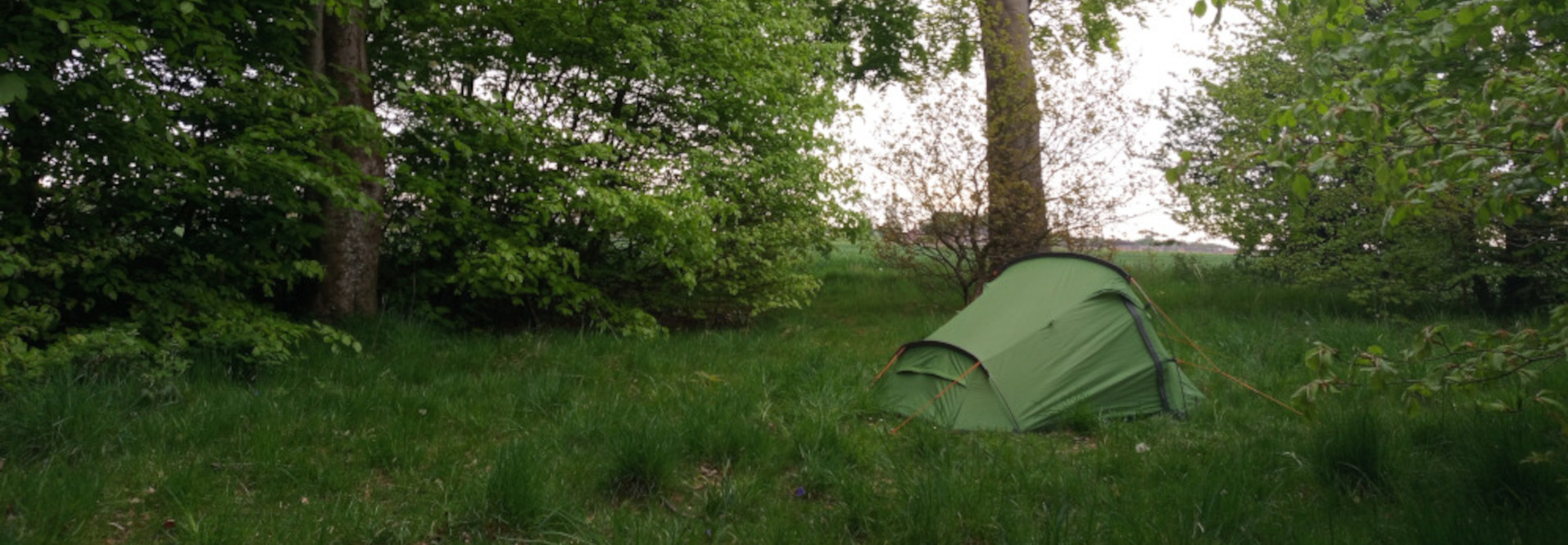 Vibrant green, two-person dome tent pitched in a verdant field. The tent is slightly slanted, suggesting it may have been affected by wind or uneven ground. Orange tent stakes and guy lines are subtly visible, indicating its secure positioning.  No people are present.