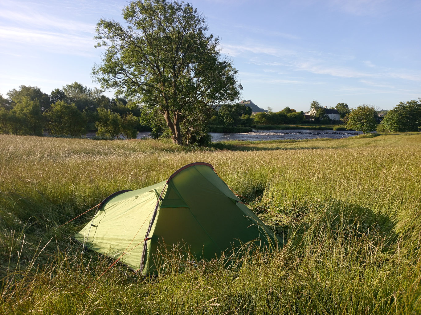 Central focus is a vibrant green, two-person dome tent nestled in a field of tall, swaying grasses. The tent is partially obscured by the grass, with only its sides and top visible. It's positioned slightly off-centre, drawing the viewer's eye across the scene. No people are present. The scene is idyllic and pastoral. The foreground is dominated by the tall, yellowish-green grasses, creating a textured, almost wave-like effect. Beyond the grassy field, a calm river flows, its surface slightly rippled. Trees of varying greens line the riverbanks, creating a natural border. In the distance, a faint hill or low mountain is visible, and a small cluster of buildings suggests a village or hamlet. The sky is a clear, pale blue with a few wispy clouds, indicating a sunny day with soft, diffused light. 