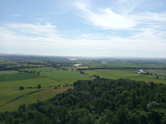 Sweeping panoramic view of a landscape dominated by a vast expanse of verdant farmland in the middle ground, which gradually transitions into a dense, dark-green forest in the foreground. A silvery-blue river meanders through the farmland, subtly visible in the mid-distance. The fields are divided into geometric patterns by fences and hedgerows, indicating cultivated land. There are no people or animals visible. The background is a hazy, pale blue sky filled with wispy, white cumulus clouds, indicating a bright, sunny day. The lighting is soft and diffused, suggesting the sun is high in the sky, casting few harsh shadows. The overall colour palette is predominantly green, ranging from the bright, almost lime green of the freshly-cultivated fields to the deep, saturated green of the mature forest. The river adds a touch of pale blue and the sky provides soft contrasts in white and light blue. The overall effect is one of calm and serenity.