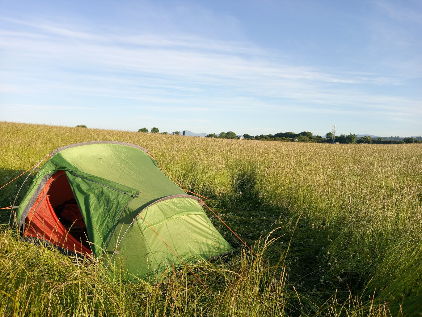 Vibrant green two-person dome tent, partially submerged in tall, sunlit grass. The tent's orange interior is slightly visible through the open doorway, hinting at the possibility of sleeping bags or other camping gear within. The tent fabric has a slight sheen, suggesting it's made of a lightweight, possibly waterproof material. Orange cords are visible, adding a pop of colour against the green. The tent is positioned slightly off-centre, creating a natural asymmetry. No people are present. The scene is set in a vast, flat field of tall, golden-green grass that stretches to the horizon. The grass is not uniformly colored, displaying subtle variations in shade, suggesting uneven sunlight penetration and the presence of wildflowers. The background is a gentle, hazy horizon line with a strip of darker green trees and possibly low hills or distant structures barely visible under a clear, pale blue sky. The sky is a soft, almost pastel blue, with a few wispy, delicate clouds near the horizon, indicating a calm and sunny day.