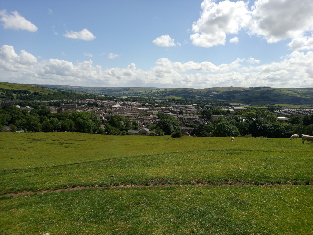 Sprawling, verdant pasture occupying the foreground and middle ground. It’s a vibrant, slightly uneven field of short, green grass, with subtle variations in tone suggesting slight undulations.  A faint, tire-tracked path winds across the lower portion of the pasture.  Three sheep are visible in the mid-ground; two graze peacefully near each other, while a solitary sheep is a little further away. They appear white or light-coloured against the grass. The background is a picturesque valley, showcasing a town nestled among rolling hills. The town, a blend of stone and muted-toned buildings, appears spread out and low-slung. The buildings are relatively small in scale compared to the vastness of the landscape. The hills are a mix of various greens and browns, suggesting different vegetation and land use. The sky dominates the upper third of the composition; it is a brilliant, clear blue with fluffy, cumulus clouds scattered across it, creating a sense of depth and light. The light is bright and sunny, suggesting it’s likely midday.
