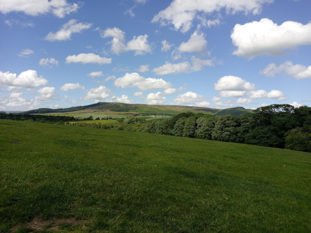 Gently rolling landscape of hills, the furthest showing a lighter, more muted green. The hills are softly contoured, not sharply defined, giving a sense of distance and calm. A clear blue sky dominates the upper two-thirds of the frame, punctuated by fluffy cumulus clouds of varying sizes. The clouds are mostly white and bright against the blue, with some exhibiting subtle shades of gray. The lighting suggests a sunny day, with even illumination across the scene. The overall colour palette is bright and cheerful, composed of deep greens, light greens, bright blues, and the crisp white of the clouds.