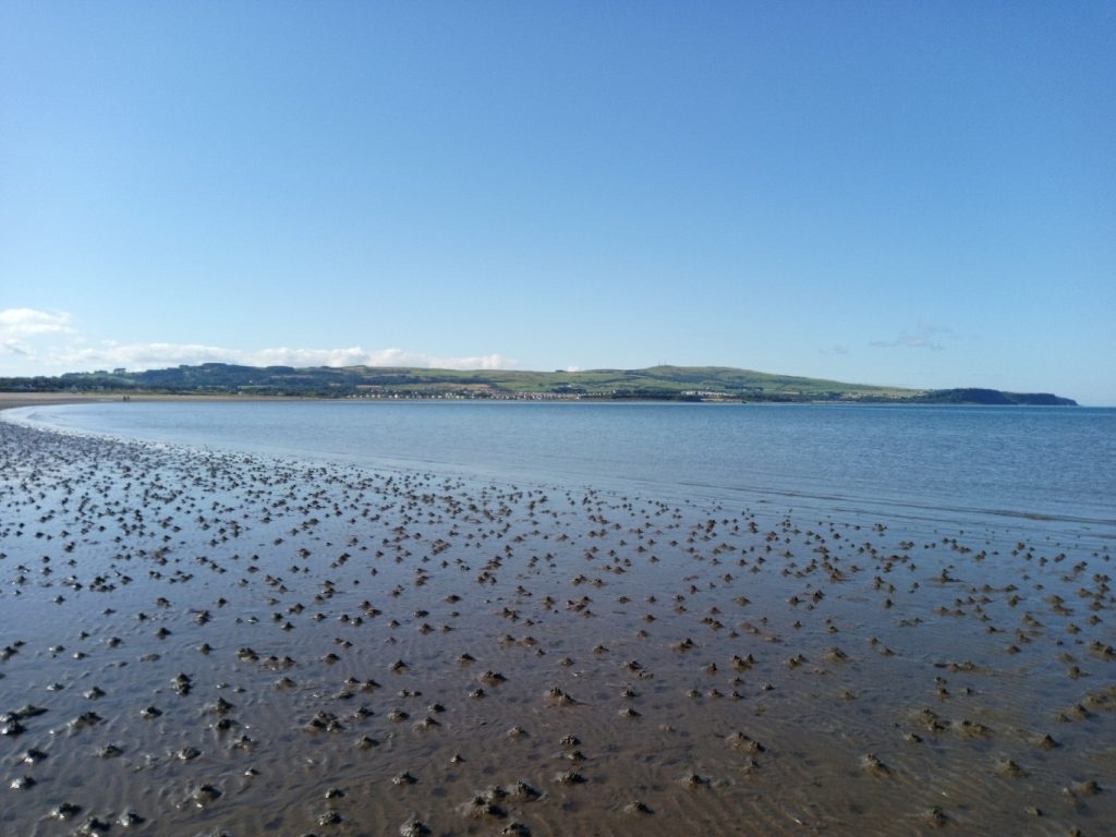 Wide shot of a beach at low tide. The foreground is dominated by numerous small, dark, cone-shaped formations in the wet sand, likely created by some type of burrowing creature. In the mid-ground is calm, shallow water extending to a relatively calm sea. In the background, a low-lying, green hill or headland is visible under a clear, blue sky.