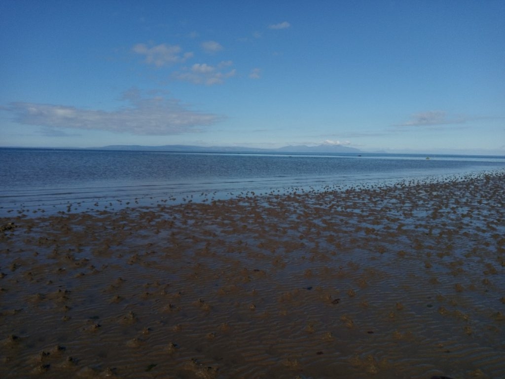 Tranquil coastal scene at low tide.  The foreground is dominated by a vast expanse of mudflats, textured with numerous small, evenly spaced holes, likely created by burrowing creatures. The mid-ground features calm, shallow water that stretches to a horizon where a distant mountain range is visible under a clear blue sky with a few wispy clouds.